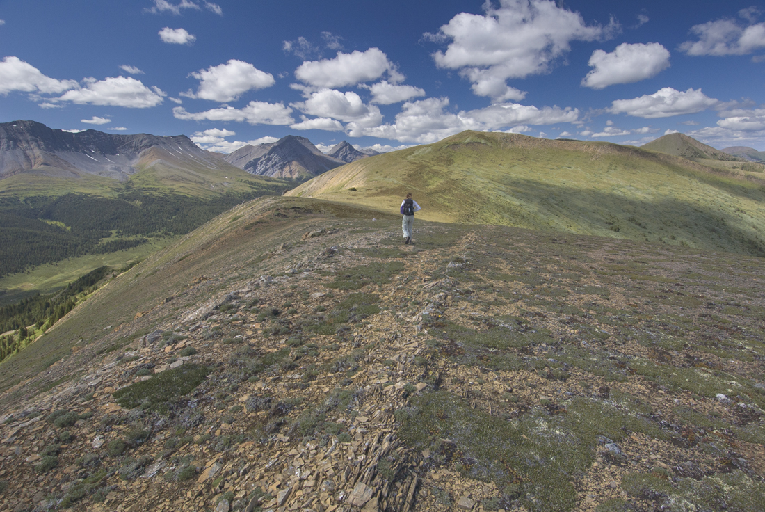 Willmore Wilderness Park, Rocky Mountains, Alberta, Canada